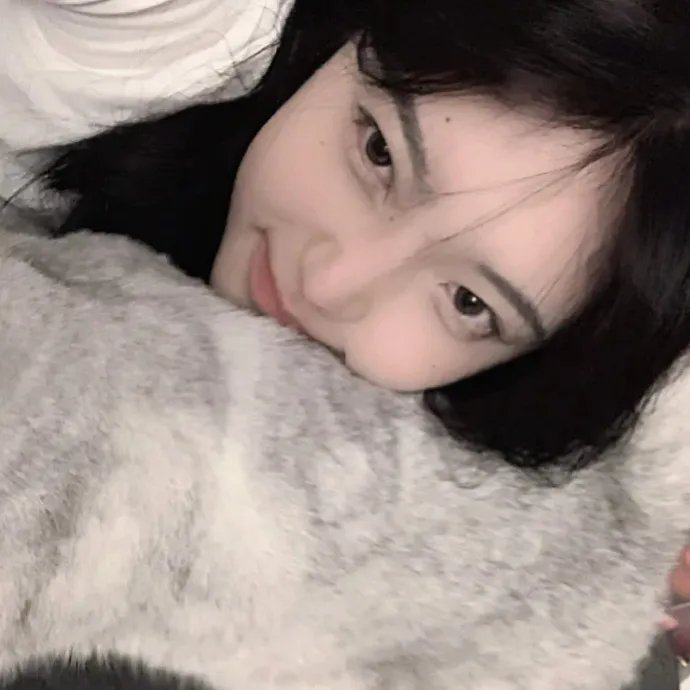 阿尔蒂